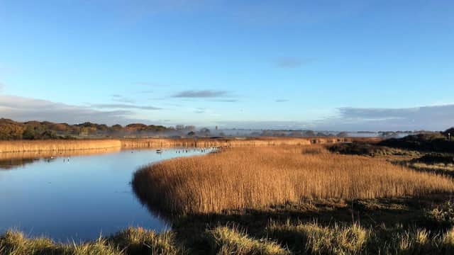 Titchfield Haven National Nature Reserve, Hill Head, taken by Colin Grice