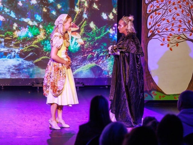 Cinderella and the Fairy Godmother