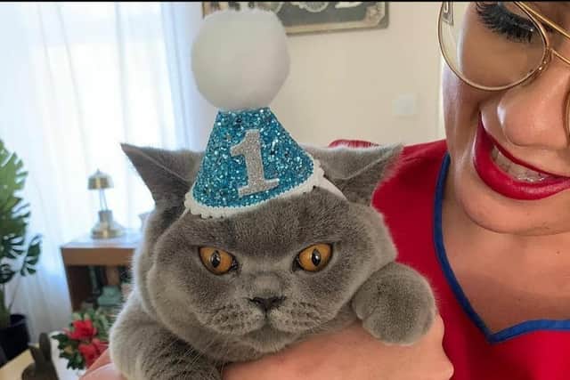 Rupert the cat from North End is the winner of The News' Top Pet competition 2021