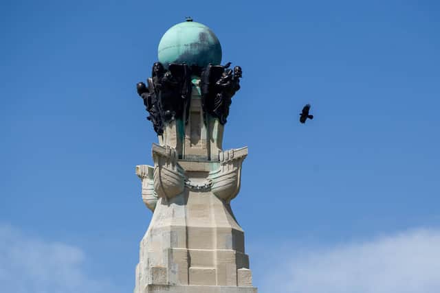 Crows at Southsea Common, Southsea in May 2021. Picture: Habibur Rahman