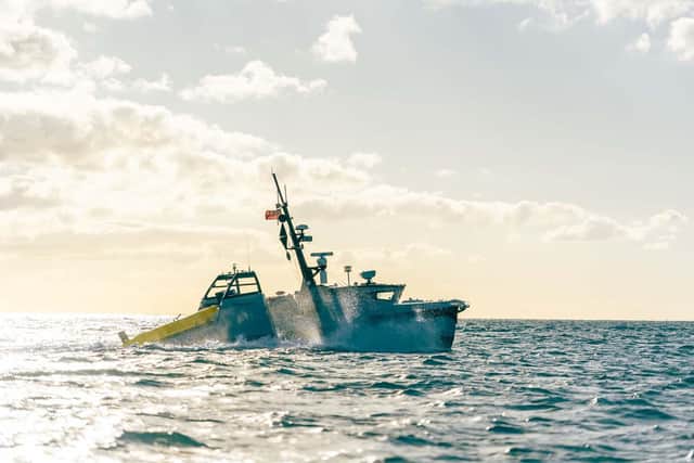 The new robot set to replace the navy's fleet of glass-hulled minehunters