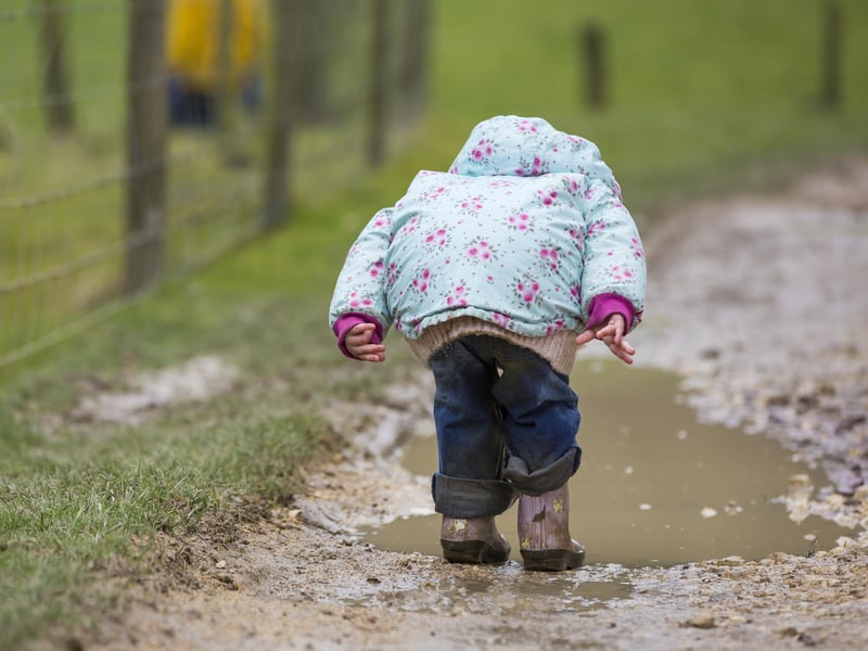 For those willing to brave the wet weather, there are plenty of fun family walks in the Portsmouth area including Foxes Forest and Queen Elizabeth Country Park near Petersfield.