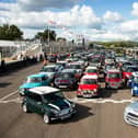 The collection of Minis at Goodwood