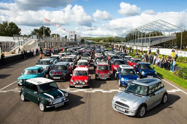 The collection of Minis at Goodwood