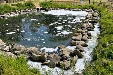 Pollution has been found in a river in Waterlooville. Picture: Jeff Coates
