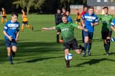 Bulldog (blue) v Portsmouth Parks. Picture: Mike Cooter
