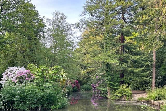Several parks from across the region have been awarded Green Flag status in 2023, including The Rock Gardens in Southsea, Holly Hill in Fareham and Stanley Park in Gosport