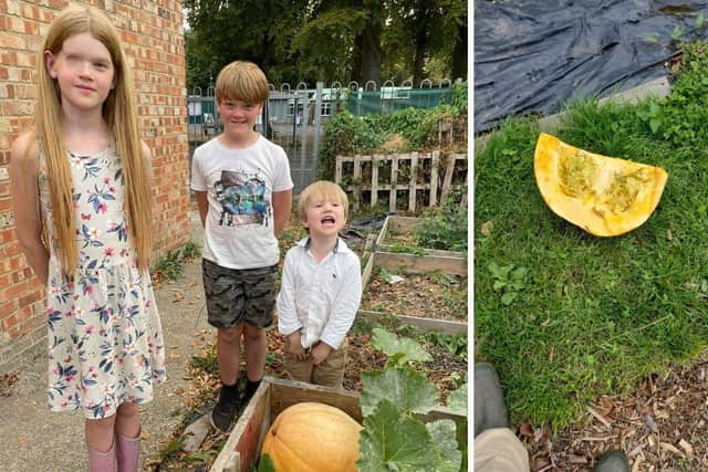 Charlie Lewis, 38, said her three children were 'devastated' after finding the pumpkin they had planted and tended had been 'smashed' by a vandal. Pictured is Elizabeth, 11, Michael, nine, and Jack, 4. Picture: Charlie Lewis.