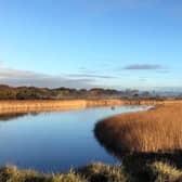 Titchfield Haven National Nature Reserve, Hill Head Picture: Colin Grice