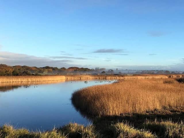 Titchfield Haven National Nature Reserve, Hill Head Picture: Colin Grice
