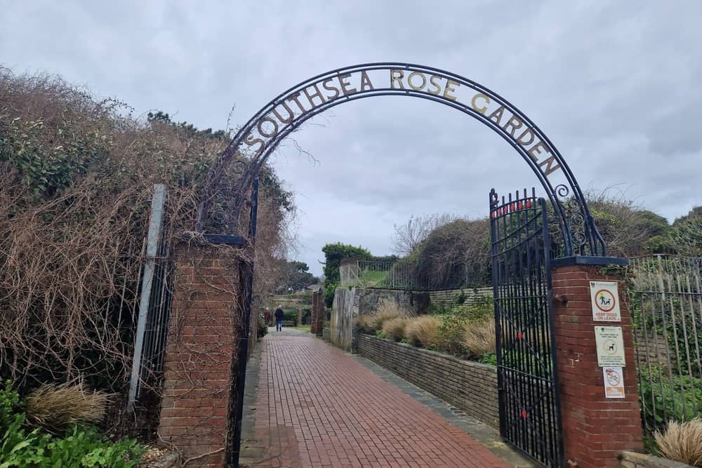 The rose garden 