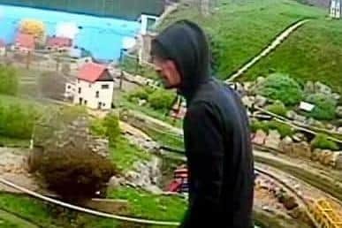 CCTV footage of the yob who broke into Southsea Model Village and attacked the site's resident cat, Rooney, before causing minor damage to the attraction.