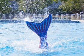 Learn to swim like a mermaid with South Coast Mermaids