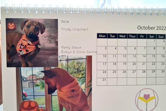 The Endometriosis South Coast Calendar 2022The Endometriosis South Coast Calendar 2022
