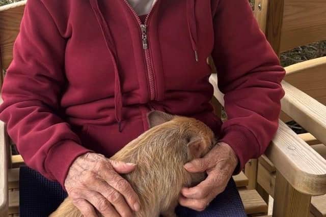 Kathleen Skinner and Evie the piglet.