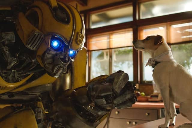 Bumblebee