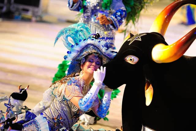 The Boi Bumba Festival in full swing.