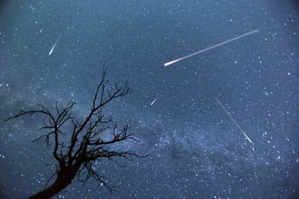 The skies will be lit up on Tuesday (5 Nov), with an abundance of colourful fireworks forming Bonfire Night celebrations (Photo: Shutterstock)