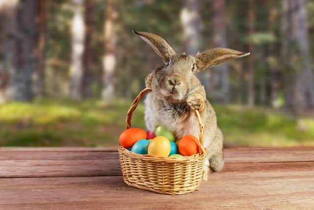 The Easter bunny has long been associated with the holiday of Easter, but where does the famous rabbit come from and what’s his role? (Photo: Shutterstock)