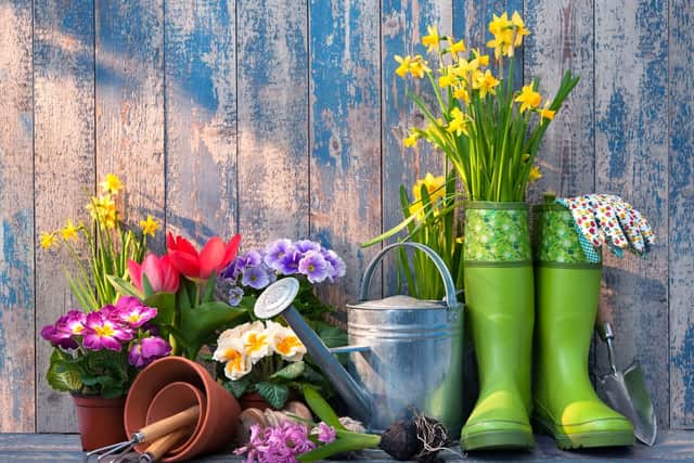If you think your garden could do with a bit of a sprucing up but you’ve never tackled a project like it before, then there are plenty of manageable, do-it-yourself improvements you can make (Photo: Shutterstock)