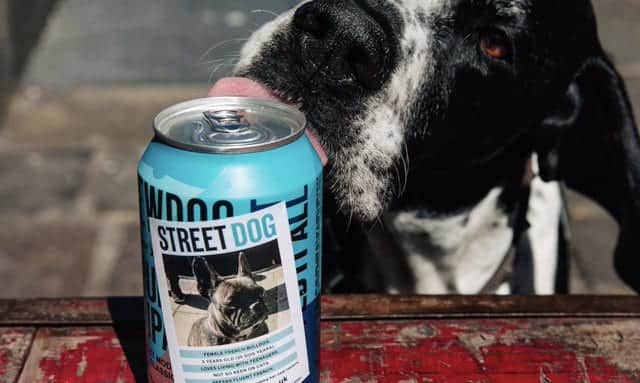 All cans of the beer will feature adoption adverts from dogs looking for a loving home (Photo: BrewDog)