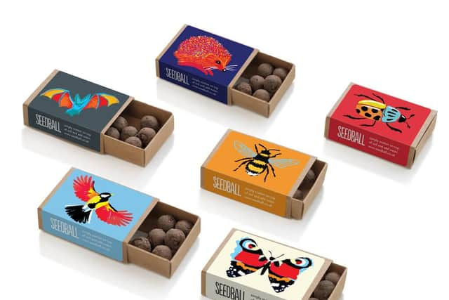 Seedball Wildlife Collection Wildflower Seeds, £15