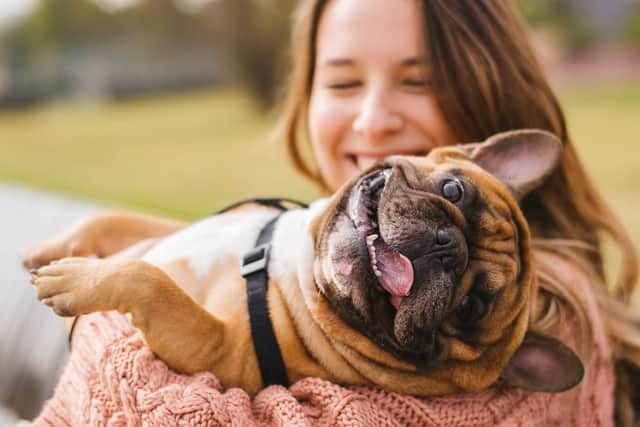 Pet owners should find it easy to find homes to rent under the new agreement.