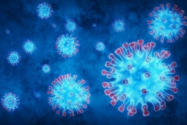 The variant could cause reinfection in up to 61% of people who have already had Covid-19 (Photo: Shutterstock)