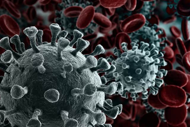 16 cases of the new variant have been identified in the UK (Photo: Shutterstock)