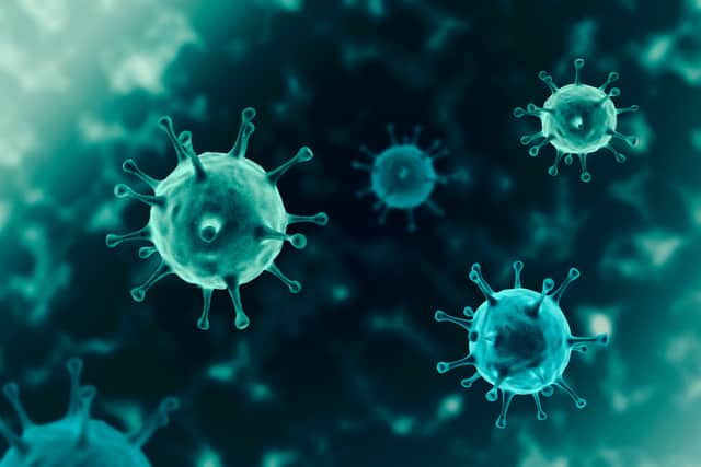 The variant is thought to be between 30 and 100 per cent more deadly (Photo: Shutterstock)