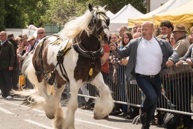Wickham Horse Fair