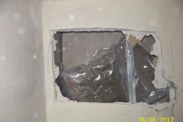 The skunk cannabis smuggled by Camara Menendez