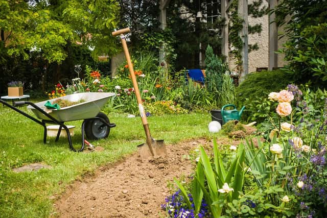 Now is a good time to consider planting a rose bed