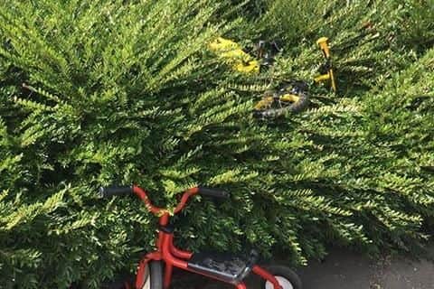 Children's bikes were damaged by the vandals
