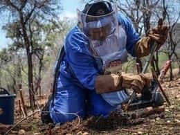 Female deminer Winai Ndaradzi in Zimbabwe. Picture: HALO