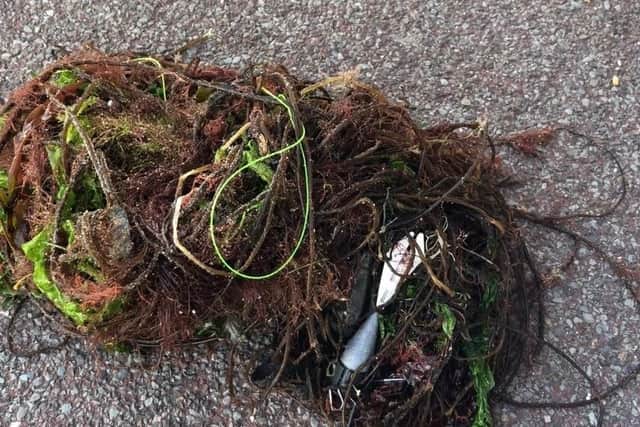 fishing gear and plastic found on the beach by Debbie Gray from Basingstoke