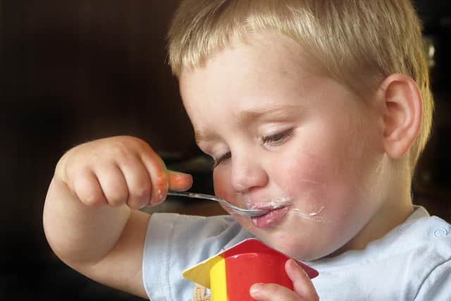 Children's yogurts are high in sugar, a study has found. Picture: Pixabay