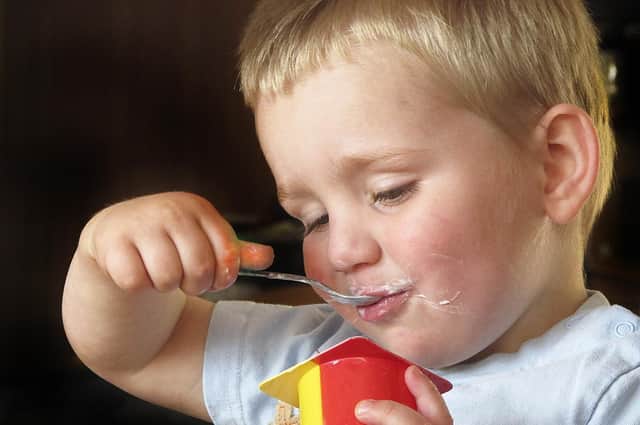 Children's yogurts are high in sugar, a study has found. Picture: Pixabay