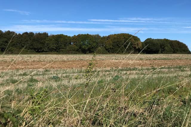 The land south of Lovedean Electricity Substation, where the two energy storage systems were to be built.
