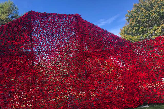 The cascade of poppies. Picture: Tamara Siddiqui