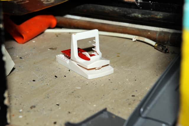 A 'mouse trap' in a kitchen cupboard is surrounded by what is thought to be mouse droppings 
Picture: Malcolm Wells (181003-4077)