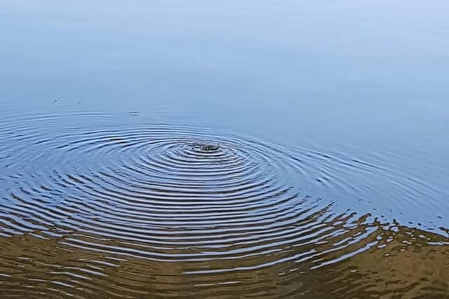 The leak is a 'very small' drip. Picture: Southern Water