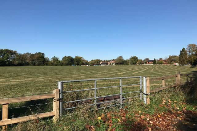 A northbound view of Southmere Field, on Langstone Road. Picture: Byron Melton