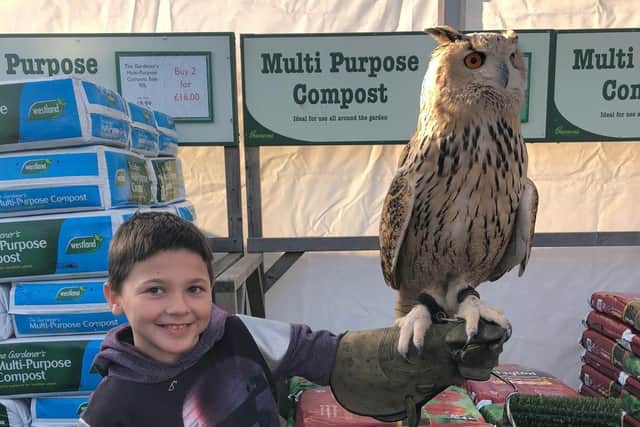 Archie Law makes friends with a Siberian Owl. Picture: Supplied