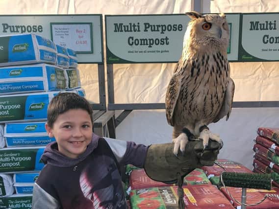 Archie Law makes friends with a Siberian Owl. Picture: Supplied