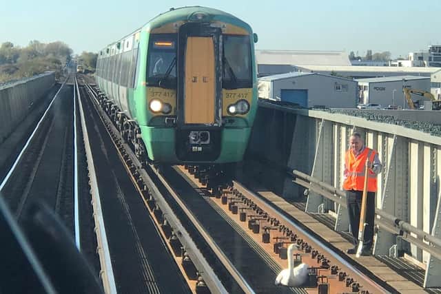 The swan pictured on the Southern railway line, between Worthing and Brighton. Picture: Twitter user @martin466004
