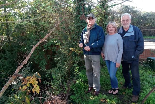Left to right - Richard Platt, Caroline Mead and Ray Rowsell alongside the drainage ditch which flows past Caroline's home