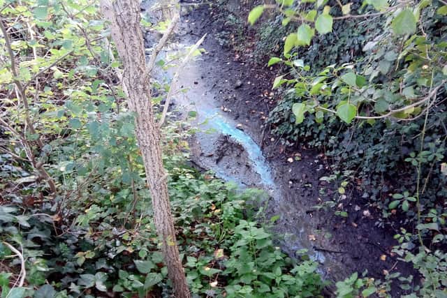 Remaining sludge in the drainage ditch which flows past resident's homes.