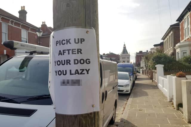 The home-made poster in Albert Grove, Southsea