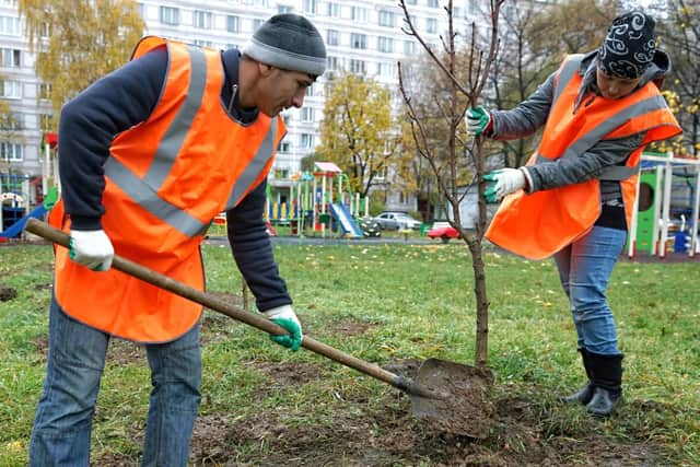 Thousands of trees could be planted acriss Portsmouth